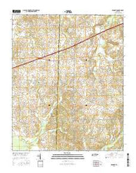 Denmark Tennessee Current topographic map, 1:24000 scale, 7.5 X 7.5 Minute, Year 2016