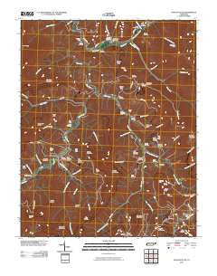 Duncan Flats Tennessee Historical topographic map, 1:24000 scale, 7.5 X 7.5 Minute, Year 2010