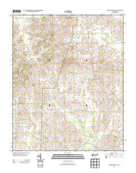 Durhamville Tennessee Historical topographic map, 1:24000 scale, 7.5 X 7.5 Minute, Year 2013