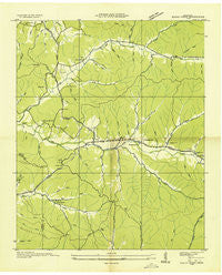 Eagle Creek Tennessee Historical topographic map, 1:24000 scale, 7.5 X 7.5 Minute, Year 1936