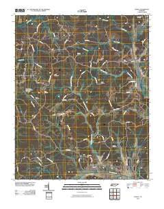 Enville Tennessee Historical topographic map, 1:24000 scale, 7.5 X 7.5 Minute, Year 2010
