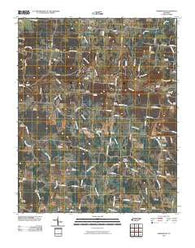 Farmington Tennessee Historical topographic map, 1:24000 scale, 7.5 X 7.5 Minute, Year 2010