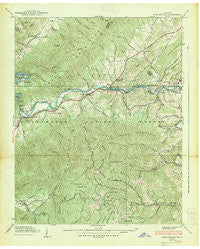 Fish Springs Tennessee Historical topographic map, 1:24000 scale, 7.5 X 7.5 Minute, Year 1938