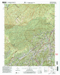 Flag Pond Tennessee Historical topographic map, 1:24000 scale, 7.5 X 7.5 Minute, Year 2003
