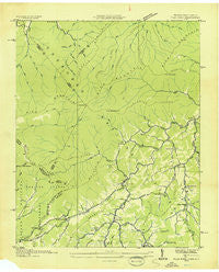 Flag Pond Tennessee Historical topographic map, 1:24000 scale, 7.5 X 7.5 Minute, Year 1936