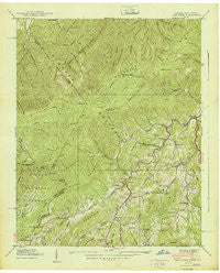 Flag Pond Tennessee Historical topographic map, 1:24000 scale, 7.5 X 7.5 Minute, Year 1939