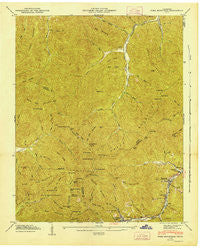 Fork Mountain Tennessee Historical topographic map, 1:24000 scale, 7.5 X 7.5 Minute, Year 1946