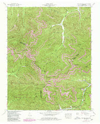 Fork Mountain Tennessee Historical topographic map, 1:24000 scale, 7.5 X 7.5 Minute, Year 1952