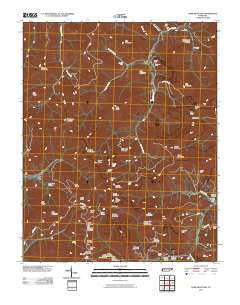 Fork Mountain Tennessee Historical topographic map, 1:24000 scale, 7.5 X 7.5 Minute, Year 2010