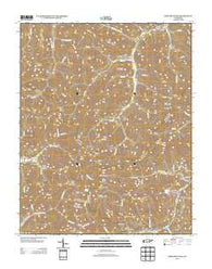 Fork Mountain Tennessee Historical topographic map, 1:24000 scale, 7.5 X 7.5 Minute, Year 2013
