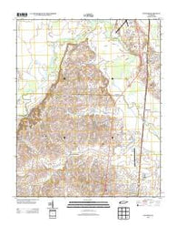 Fowlkes Tennessee Historical topographic map, 1:24000 scale, 7.5 X 7.5 Minute, Year 2013