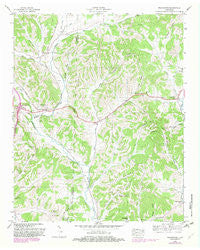 Frankewing Tennessee Historical topographic map, 1:24000 scale, 7.5 X 7.5 Minute, Year 1948