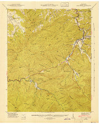 Gatlinburg Tennessee Historical topographic map, 1:24000 scale, 7.5 X 7.5 Minute, Year 1943