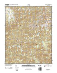 Gatlinburg Tennessee Historical topographic map, 1:24000 scale, 7.5 X 7.5 Minute, Year 2013