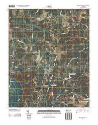 Grand Junction Tennessee Historical topographic map, 1:24000 scale, 7.5 X 7.5 Minute, Year 2010