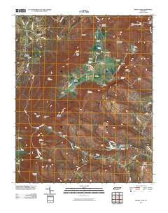 Grassy Cove Tennessee Historical topographic map, 1:24000 scale, 7.5 X 7.5 Minute, Year 2010