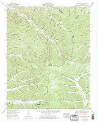Graves Spring Tennessee Historical topographic map, 1:24000 scale, 7.5 X 7.5 Minute, Year 1951