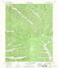 Graves Spring Tennessee Historical topographic map, 1:24000 scale, 7.5 X 7.5 Minute, Year 1951