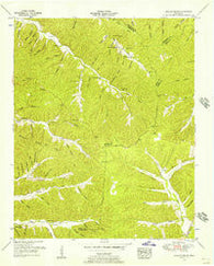 Graves Spring Tennessee Historical topographic map, 1:24000 scale, 7.5 X 7.5 Minute, Year 1951