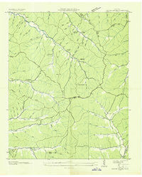 Graves Spring Tennessee Historical topographic map, 1:24000 scale, 7.5 X 7.5 Minute, Year 1936