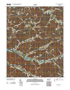 Halls Creek Tennessee Historical topographic map, 1:24000 scale, 7.5 X 7.5 Minute, Year 2010