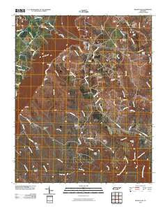 Henson Gap Tennessee Historical topographic map, 1:24000 scale, 7.5 X 7.5 Minute, Year 2010