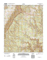 Henson Gap Tennessee Historical topographic map, 1:24000 scale, 7.5 X 7.5 Minute, Year 2013