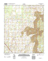 Hillsboro Tennessee Historical topographic map, 1:24000 scale, 7.5 X 7.5 Minute, Year 2013