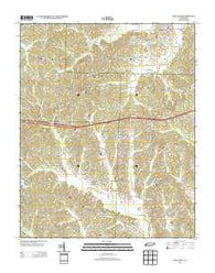 Holladay Tennessee Historical topographic map, 1:24000 scale, 7.5 X 7.5 Minute, Year 2013