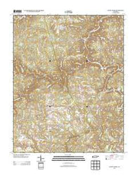 Honey Creek Tennessee Historical topographic map, 1:24000 scale, 7.5 X 7.5 Minute, Year 2013