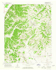 Hornbeak Tennessee Historical topographic map, 1:24000 scale, 7.5 X 7.5 Minute, Year 1964