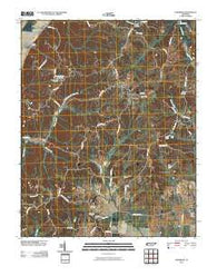 Hornbeak Tennessee Historical topographic map, 1:24000 scale, 7.5 X 7.5 Minute, Year 2010