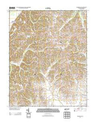 Hornbeak Tennessee Historical topographic map, 1:24000 scale, 7.5 X 7.5 Minute, Year 2013