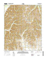 Hornbeak Tennessee Current topographic map, 1:24000 scale, 7.5 X 7.5 Minute, Year 2016