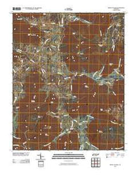 Irving College Tennessee Historical topographic map, 1:24000 scale, 7.5 X 7.5 Minute, Year 2010