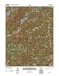 Ivydell Tennessee Historical topographic map, 1:24000 scale, 7.5 X 7.5 Minute, Year 2013