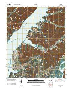 Johnsonville Tennessee Historical topographic map, 1:24000 scale, 7.5 X 7.5 Minute, Year 2010
