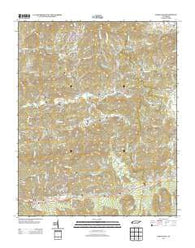 Jones Cove Tennessee Historical topographic map, 1:24000 scale, 7.5 X 7.5 Minute, Year 2013