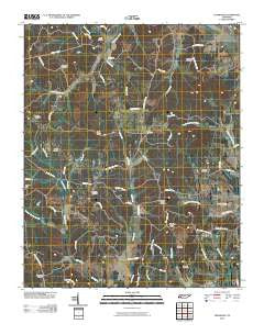 Leapwood Tennessee Historical topographic map, 1:24000 scale, 7.5 X 7.5 Minute, Year 2010
