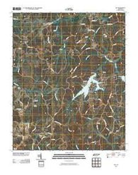 Life Tennessee Historical topographic map, 1:24000 scale, 7.5 X 7.5 Minute, Year 2010