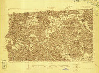 Lillydale Tennessee Historical topographic map, 1:48000 scale, 15 X 15 Minute, Year 1922