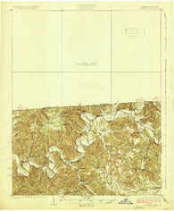 Lillydale Tennessee Historical topographic map, 1:62500 scale, 15 X 15 Minute, Year 1924