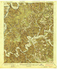 Lillydale Tennessee Historical topographic map, 1:62500 scale, 15 X 15 Minute, Year 1929