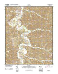 Linden Tennessee Historical topographic map, 1:24000 scale, 7.5 X 7.5 Minute, Year 2013