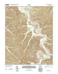 Lobelville Tennessee Historical topographic map, 1:24000 scale, 7.5 X 7.5 Minute, Year 2013