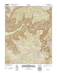 Lonewood Tennessee Historical topographic map, 1:24000 scale, 7.5 X 7.5 Minute, Year 2013