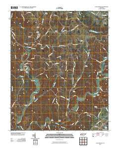 Long Branch Tennessee Historical topographic map, 1:24000 scale, 7.5 X 7.5 Minute, Year 2010