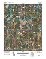 Luray Tennessee Historical topographic map, 1:24000 scale, 7.5 X 7.5 Minute, Year 2010