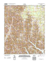 Lynchburg East Tennessee Historical topographic map, 1:24000 scale, 7.5 X 7.5 Minute, Year 2013