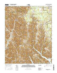 Lynchburg East Tennessee Current topographic map, 1:24000 scale, 7.5 X 7.5 Minute, Year 2016